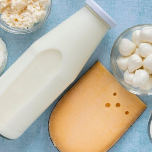 Probioticele: microorganisme esențiale pentru sănătatea digestivă