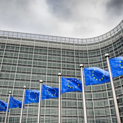 Comisia Europeană propune o perioadă de șase luni pentru implementarea noului sistem digital de control la frontierele UE