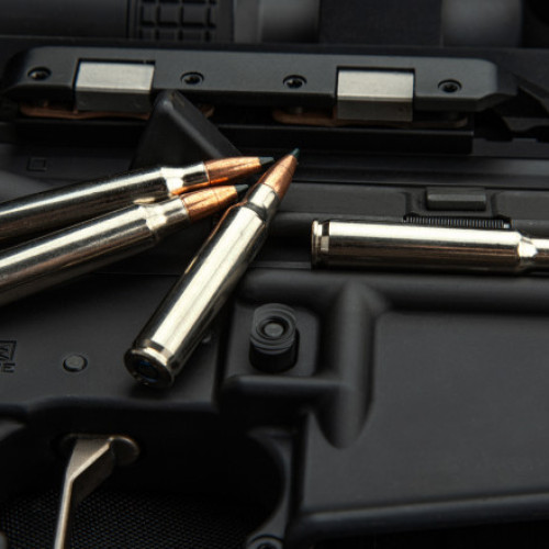 Canada interzice 324 de modele de arme de asalt pentru a le trimite în Ucraina