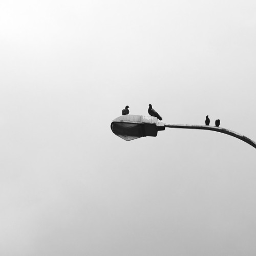 Comuna își propune concesionarea serviciului de iluminat public