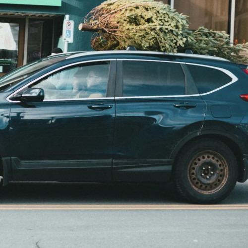 Amenda de peste 3.000 de lei pentru șoferii care transportă bradul de Crăciun