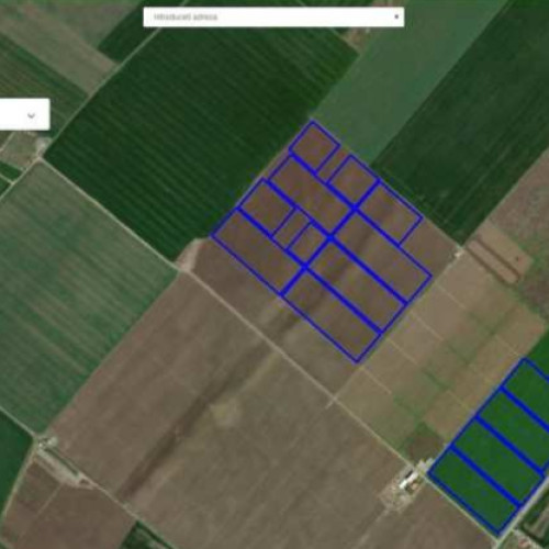 Investiție milionară în împădurirea zonei Ovidiu, județul Constanța