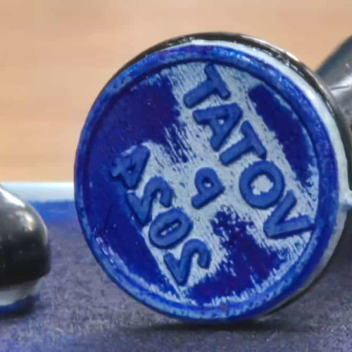 Biroul Electoral Central anunță rezultatele finale ale alegerilor parlamentare din 1 decembrie