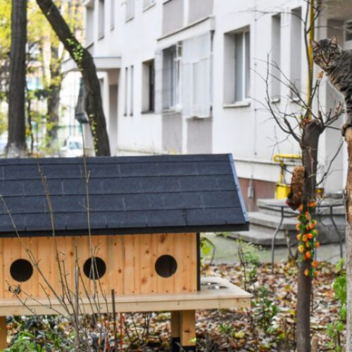 Casuțe pentru pisici comunitare, instalate în Sectorul 6 din București