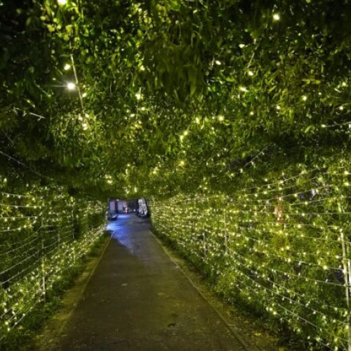 Parcul Kiseleff devine "Parcul Gândurilor Bune" cu ocazia sărbătorilor de iarnă