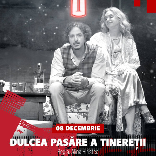 Spectacol de teatru la Teatrul Tony Bulandra: Dulcea pasare a tineretii