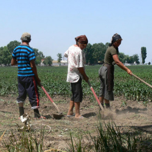 Crește salariul minim brut lunar în România începând cu 1 ianuarie 2025