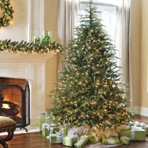 Cum să păstrezi bradul natural viu mai mult timp în timpul sărbătorilor de Crăciun