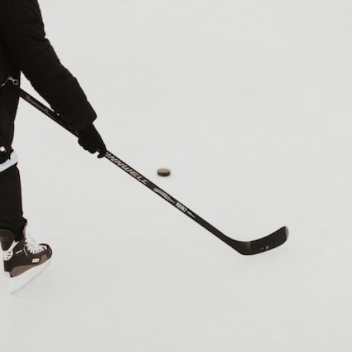 Dallas Stars câștigă pe teren propriu, înfruntând Calgary Flames