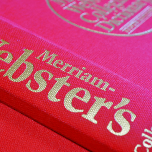 &quot;Polarizarea&quot;, cuvântul anului 2023 în dicționarul Merriam-Webster