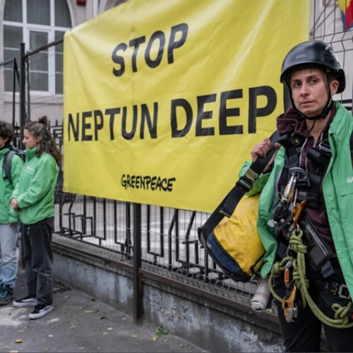 Tribunalul București amână procesul Greenpeace împotriva Agenției pentru Protecția Mediului