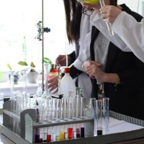 Elevii Colegiului Național "Vasile Lucaciu" din Baia Mare obțin rezultate remarcabile la concursul de Chimie și Științe