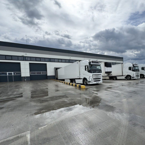 Evoluția companiei Pandoras Courier din Botoșani sprijinită de românii din Marea Britanie