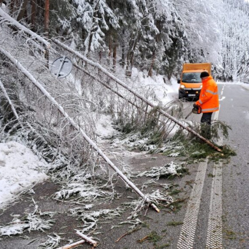 Trafic blocat pe DN18 din cauza copacilor căzuți sub greutatea zăpezii