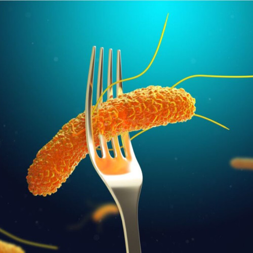 Infecția cu Salmonella: ce trebuie să știi despre salmoneloză