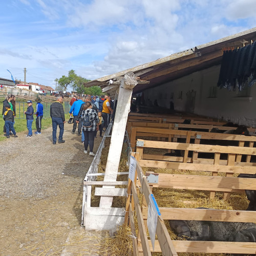 Stațiunea de Cercetare - Dezvoltare PoPăuți angajează îngrijitori de animale