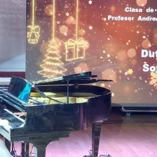 Elevii Școlii de Arte din Târgoviște au aprins „Luminile Crăciunului”