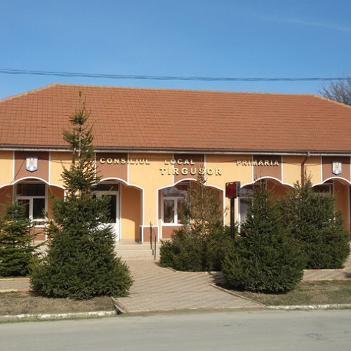 Condamnarea unei angajate de la Primăria Târgușor pentru delapidare