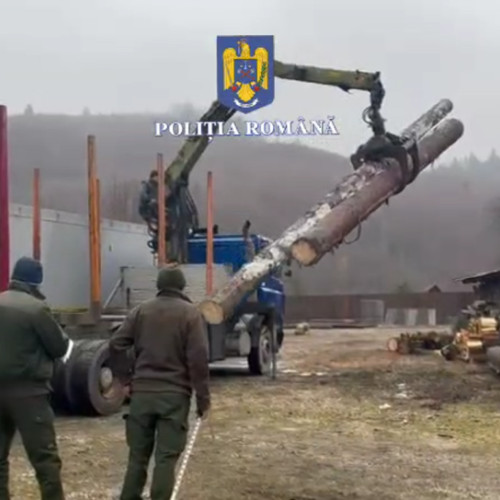 Poliția din Săcele a confiscat 26 de metri cubi de lemn transportați ilegal