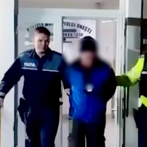 Tânăr reținut după distrugerea panourilor fotovoltaice într-o comună din România