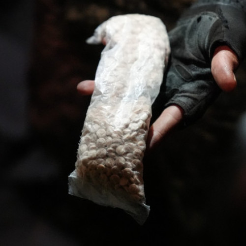 Depozit masiv de captagon descoperit în Siria: implicatii și reacții internaționale