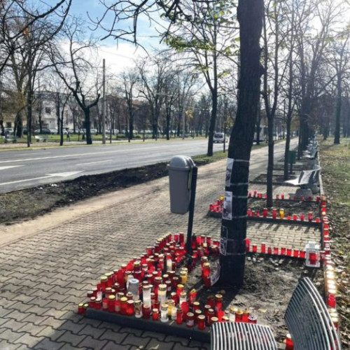 Tragicul accident de pe Bulevardul Castanilor din Ploiesti ridică semne de întrebare