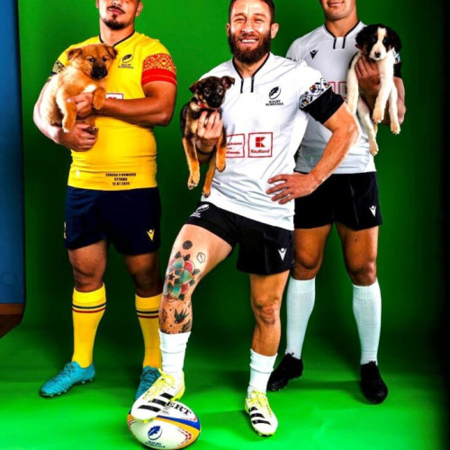 Sportivii naționali de rugby din România promovează adopția câinilor printr-un calendar