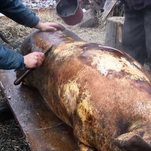 Măsuri de siguranță pentru sărbătorile de iarnă, recomandate de ISU Botoșani