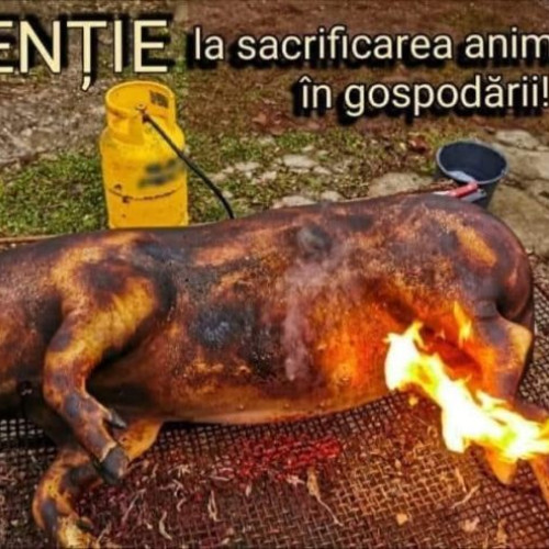 Pregătiri pentru sărbătorile de iarnă la Botoșani: Recomandări pentru siguranță