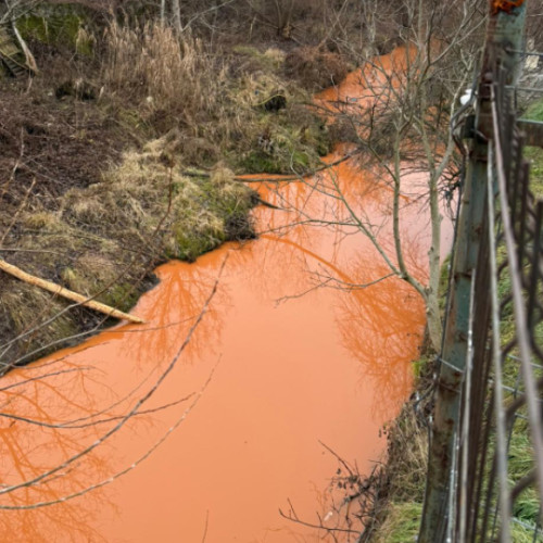 Rauli din Cluj au devenit portocalii, iar autoritățile investighează cauza