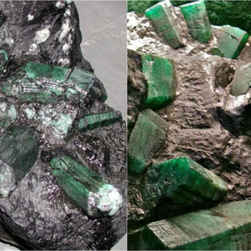 Mărul de aur smarald Bahia: Povestea unei nestemate controversate