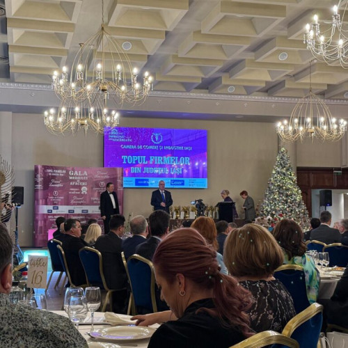 Gala Mediului de Afaceri la Iași: Premiile pentru cele mai puternice companii locale