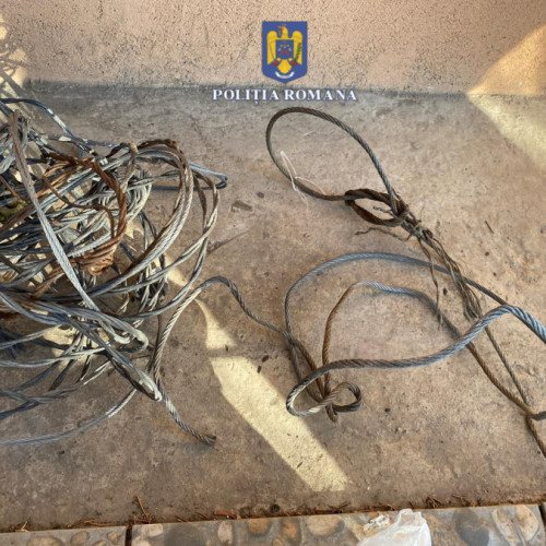 Percheziții în nordul județului Galați: descoperiri importante într-un caz de braconaj