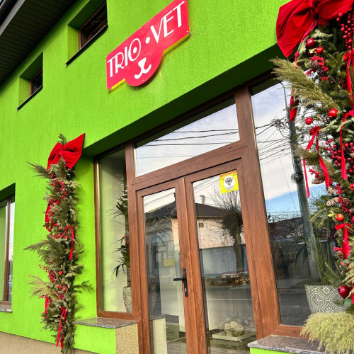 Noua clinică veterinară TrioVet, deschisă la Botoșani, include o cafenea cu pisici