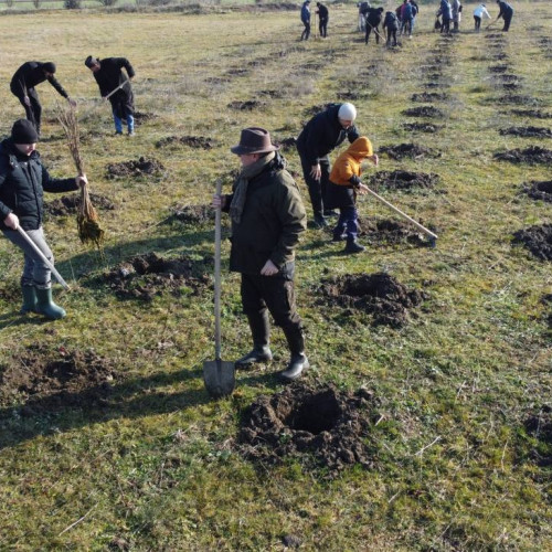 O nouă acțiune de plantare în cadrul proiectului "Pădurea Parașutiștilor"