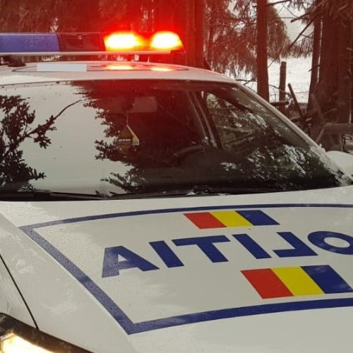 Soferii riscă amenzi pentru decorațiunile de Crăciun montate pe mașini