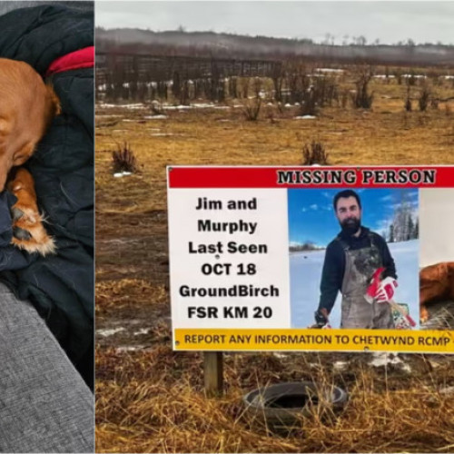 Jim Barnes dispărut după o excursie în sălbăticie, câinele său a revenit rănit