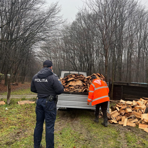 Sofer amendat si ramas fara lemne dupa un control al politiei in Dorohoi