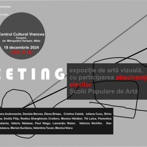 Expozitie de artă vizuală MEETING la Centrul Cultural Vrancea