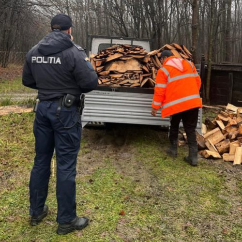 Descoperire a poliției din Dorohoi: transport ilegal de lemne