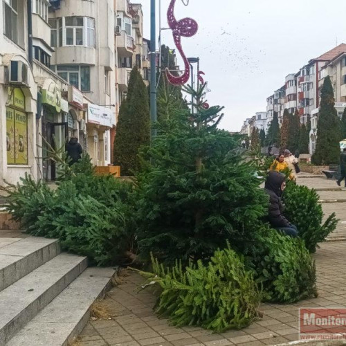 Crăciunul fără brad, o tradiție importantă pentru botoșăneni, dar tot mai costisitoare