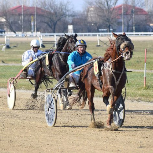 Ultima reuniune hipică a anului 2023 pe Hipodromul Ploiești