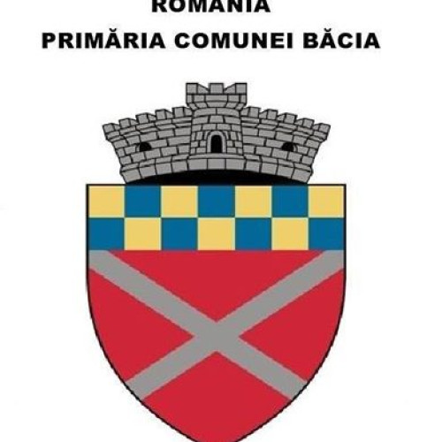 Colectare a deșeurilor voluminoase în comuna Bacia pe 20 decembrie 2024