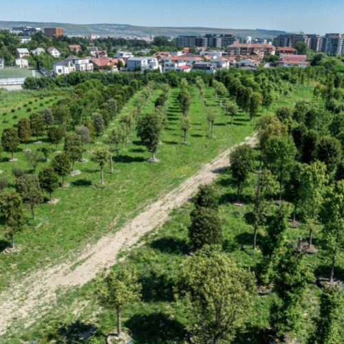 RIVUS transformă zona Carbochim din Cluj-Napoca într-un proiect urban de referință