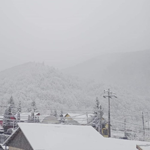 Avertizări meteorologice: intensificări ale vântului și viscol în zone montane