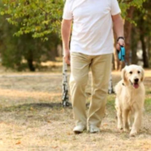 Stăpânii de câini din Cluj-Napoca, criticați pentru neglijența față de mizeria lăsată de animale