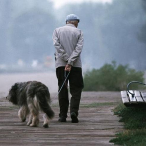 Stapanii de câini din Cluj-Napoca, criticați pentru neglijența față de curățenie