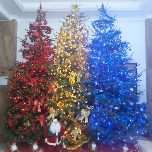 Spiridușii Moșului au împodobit brazii pentru colindători