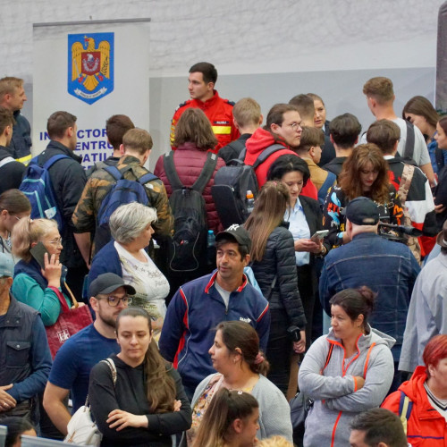 3.631 de persoane integrate pe piața muncii în Botoșani