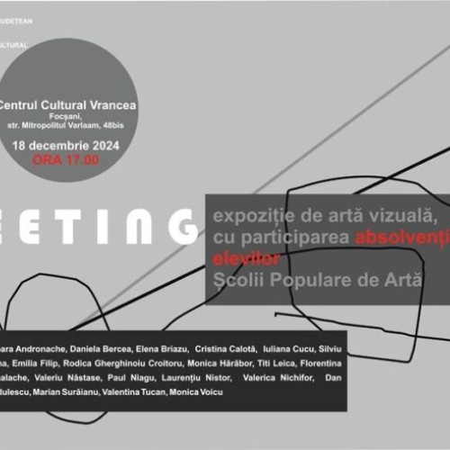 Expozitia de artă vizuală MEETING la Centrul Cultural Vrancea